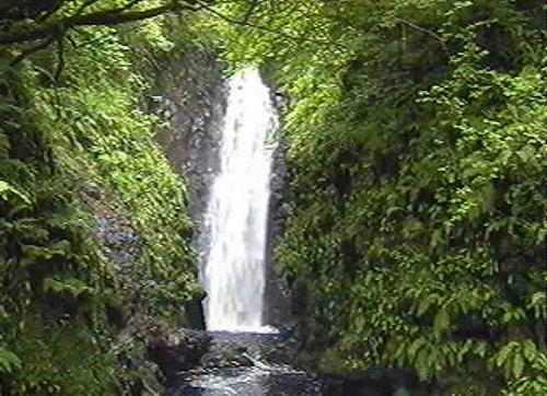 Cranny Waterfalls,  Waterfall Road, Carnlough.